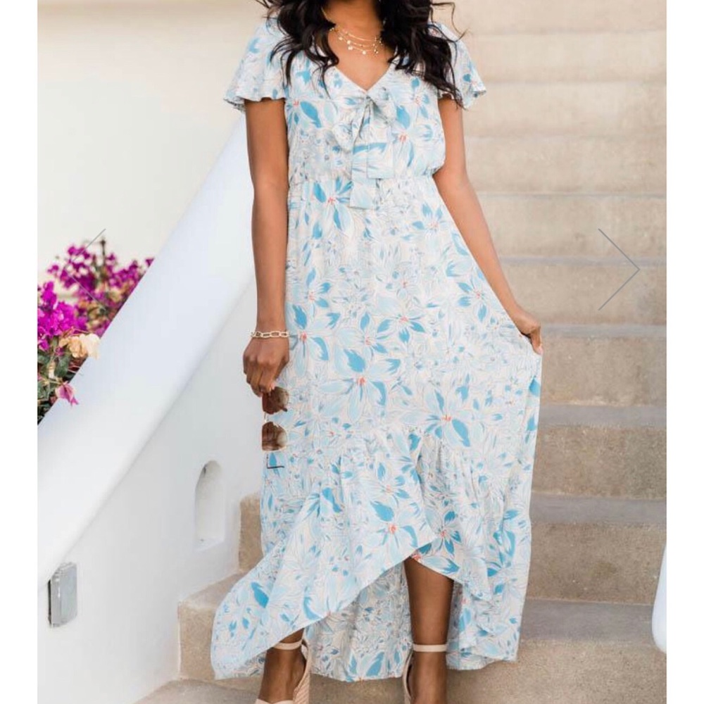 NWOT Pink Lily Floral Maxi Dress